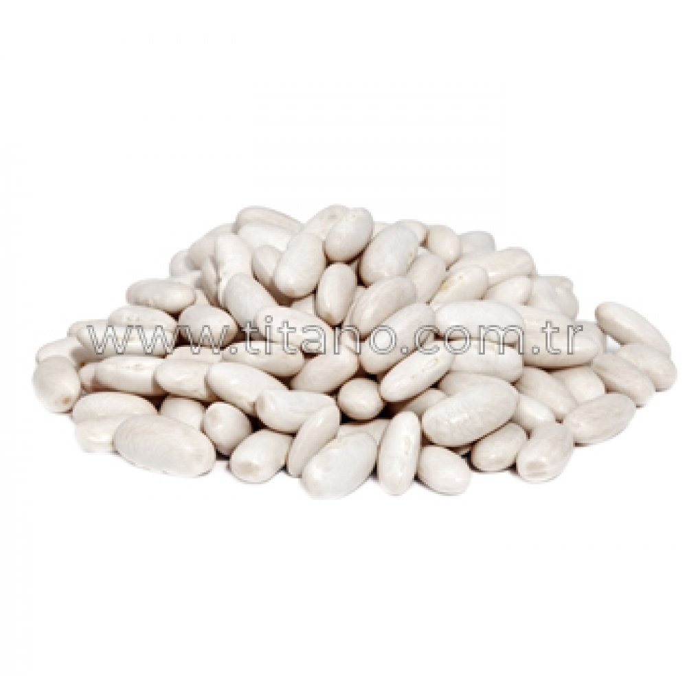 MAISTRO DRY BEAN SEED